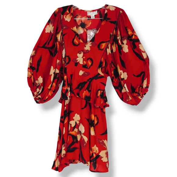 NWT Band of the Free Dolly Floral Puff Sleeve Mini Dress Sz. S [4-6] Red Gold - Picture 3 of 12